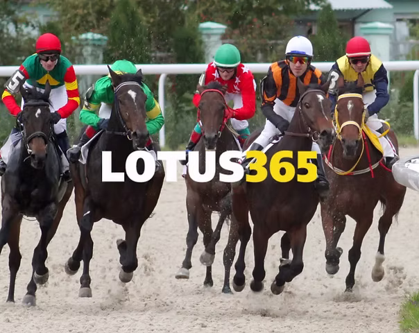 lotuss 365 book