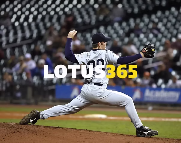 lotuss 365 book
